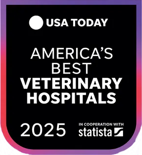 best-veterinary-hospitals